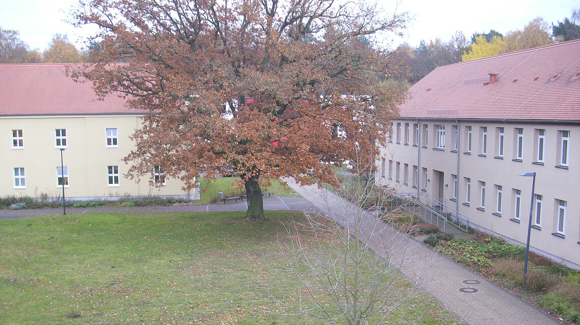 Bild von Regionales Berufliches Bildungszentrum des Landkreises Rostock