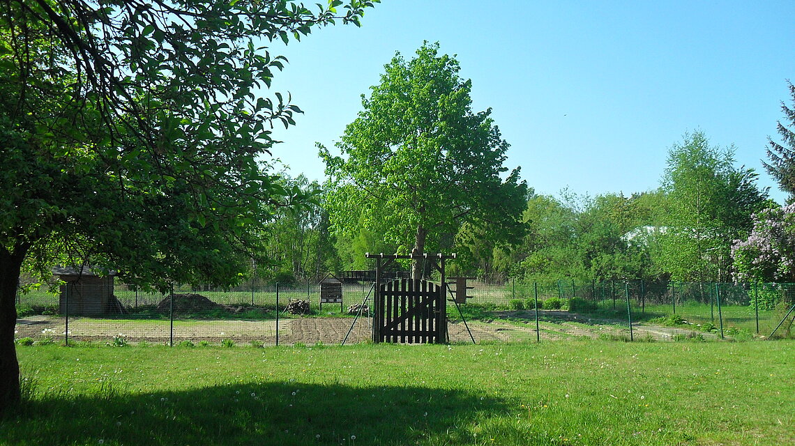 Bild von Regionale Schule "Ernst Thälmann" Eggesin