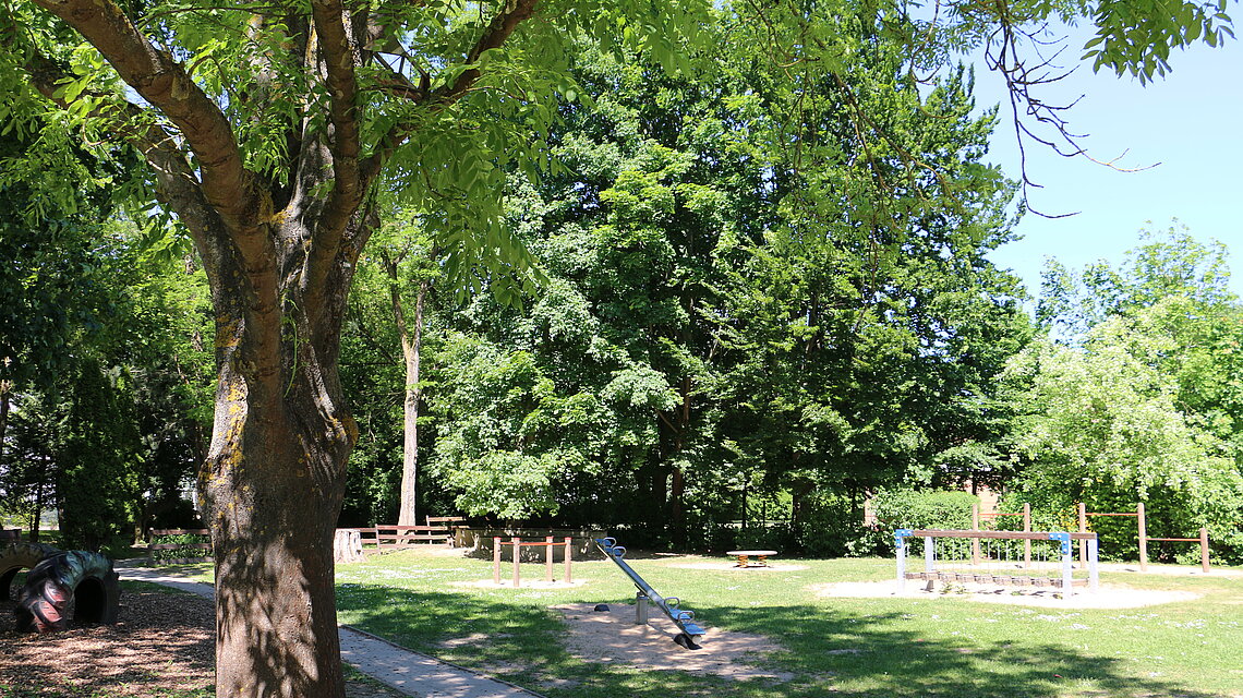 Bild von Grundschule "Martin-Andersen-Nexö" Greifswald, Grundschule mit selbstständigen Klassen für den Förderschwerpunkt Sprache Bild von Grundschule "Martin-Andersen-Nexö" Greifswald, Grundschule mit selbstständigen Klassen für den Förderschwerpunkt Sprache